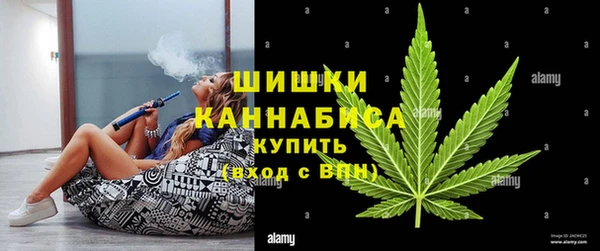 индика Лагань