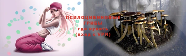экстази Кукмор