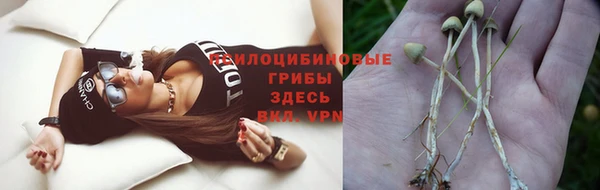 эйфоретик Кулебаки