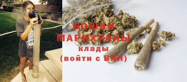 ГАЛЛЮЦИНОГЕННЫЕ ГРИБЫ Куйбышев