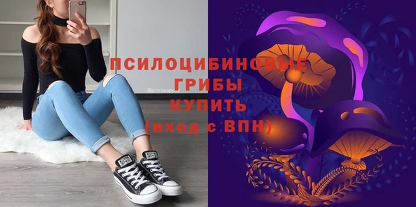 ГАЛЛЮЦИНОГЕННЫЕ ГРИБЫ Куйбышев