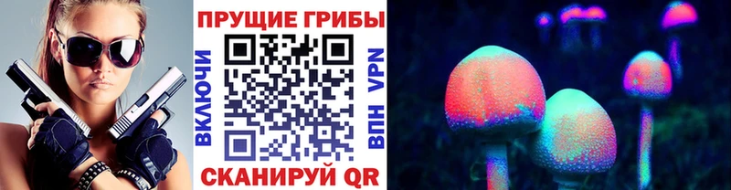 Купить закладки  Ленинск  Псилоцибиновые грибы Cubensis 