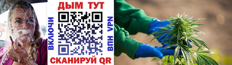 Каннабис THC 21% Купить закладки Ленинск